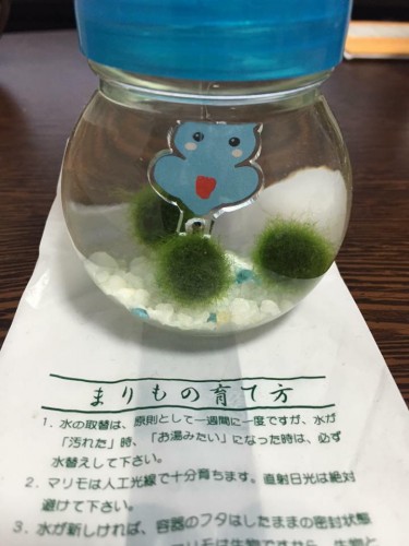 201609272