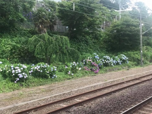 写真2