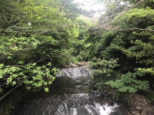 写真3