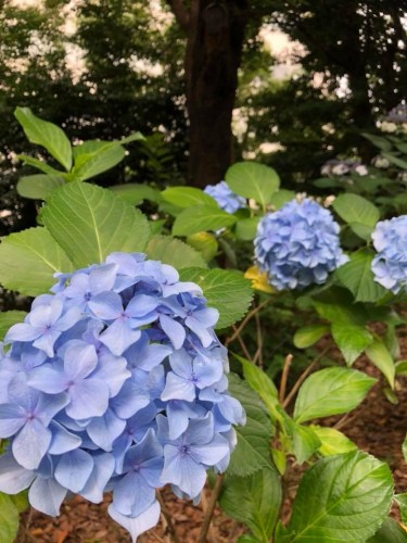 写真4